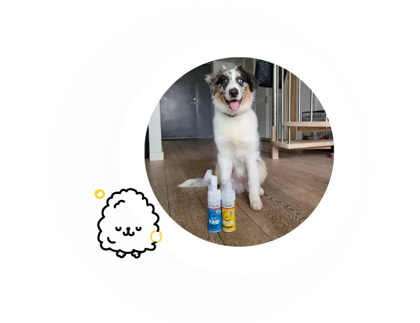 MES MYLIME NE TIK AUGINTINIUS, BET IR ŠVARĄ!